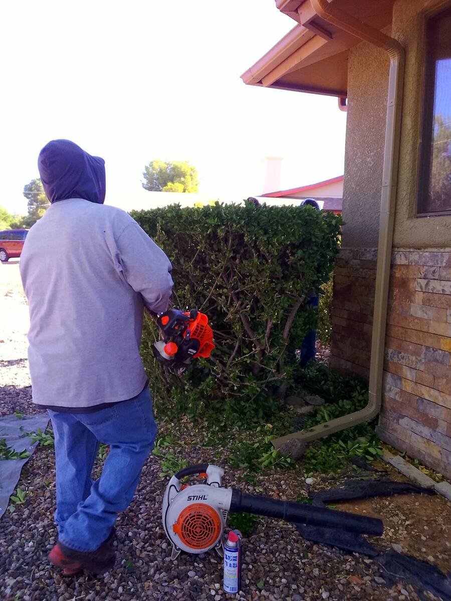 A Bluz crew member trimming a hedge