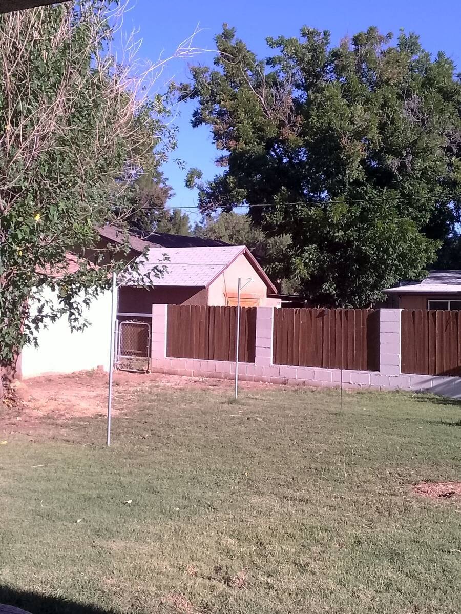 Yard cleared and opened up